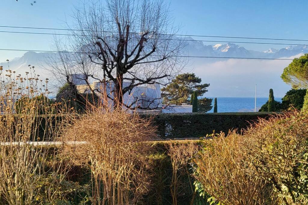 Lake Side/Fire Place/Garden/Freeparking/45M2 La Tour-de-Peilz Exterior foto